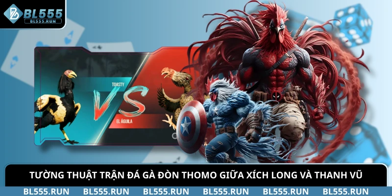 Tường thuật trận đá gà đòn Thomo giữa Xích Long và Thanh Vũ